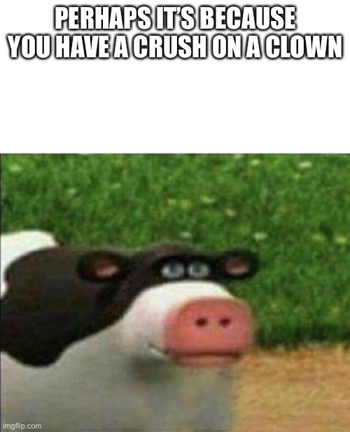 Perhaps cow | PERHAPS IT’S BECAUSE YOU HAVE A CRUSH ON A CLOWN | image tagged in perhaps cow | made w/ Imgflip meme maker