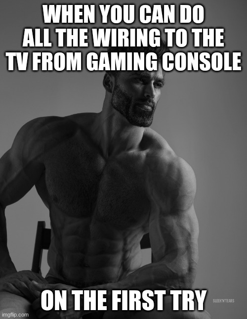 Strong | WHEN YOU CAN DO ALL THE WIRING TO THE TV FROM GAMING CONSOLE; ON THE FIRST TRY | image tagged in giga chad | made w/ Imgflip meme maker