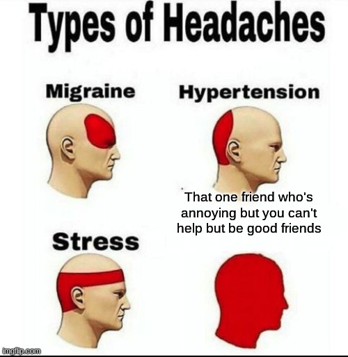 Types of Headaches meme | That one friend who's annoying but you can't help but be good friends | image tagged in types of headaches meme | made w/ Imgflip meme maker