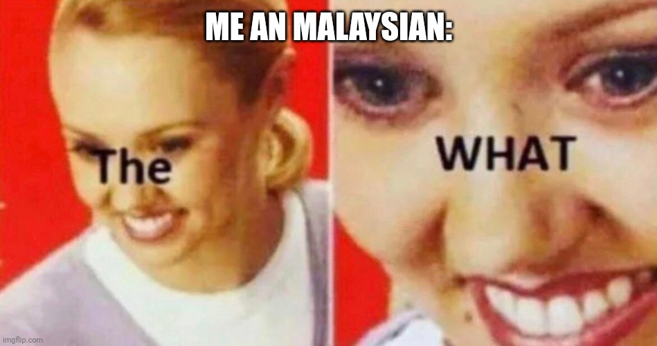 the what | ME AN MALAYSIAN: | image tagged in the what | made w/ Imgflip meme maker