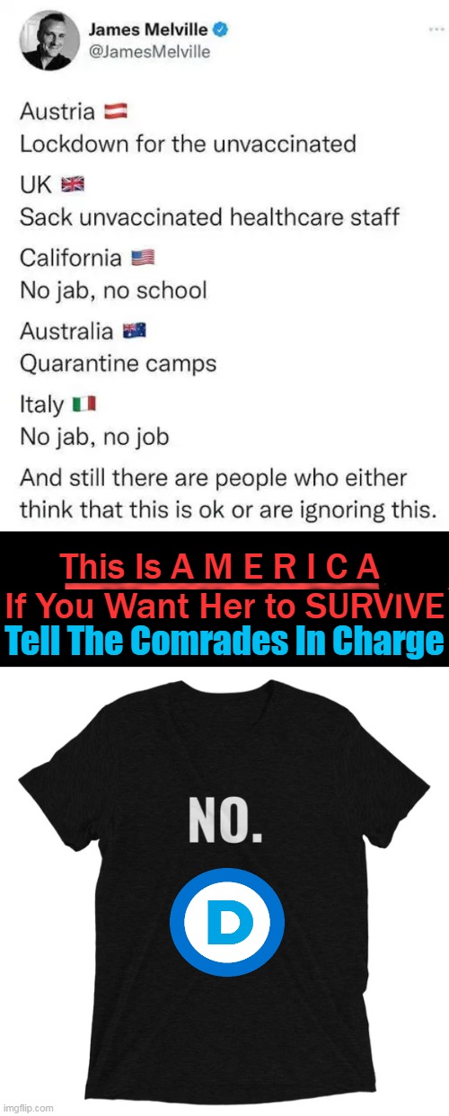 Remaking AMERICA Into The New Normal IS NOT NORMAL--Reject RADICAL DEMOCRATS | This Is A M E R I C A 
If You Want Her to SURVIVE; Tell The Comrades In Charge | image tagged in politics,liberal vs conservative,democratic socialism,insanity,totalitarianism,radicals | made w/ Imgflip meme maker