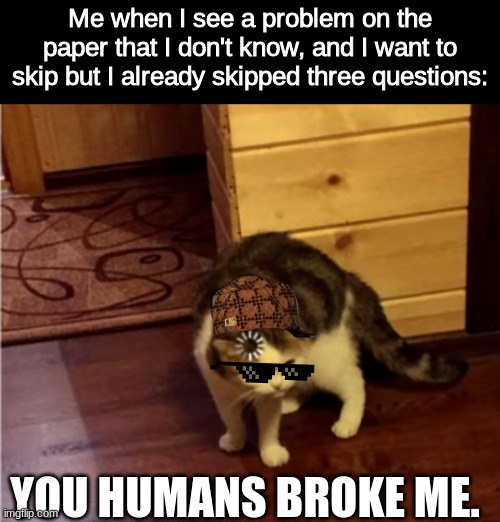 You humans broke me. | Me when I see a problem on the paper that I don't know, and I want to skip but I already skipped three questions:; YOU HUMANS BROKE ME. | image tagged in cat think | made w/ Imgflip meme maker