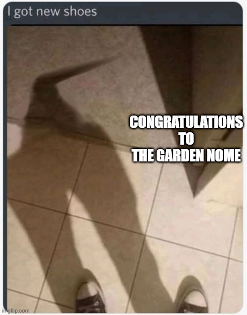 Who's I??? | CONGRATULATIONS TO THE GARDEN NOME | image tagged in strange,creepy | made w/ Imgflip meme maker