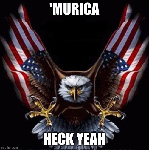 Bald Eagle | 'MURICA HECK YEAH | image tagged in bald eagle | made w/ Imgflip meme maker