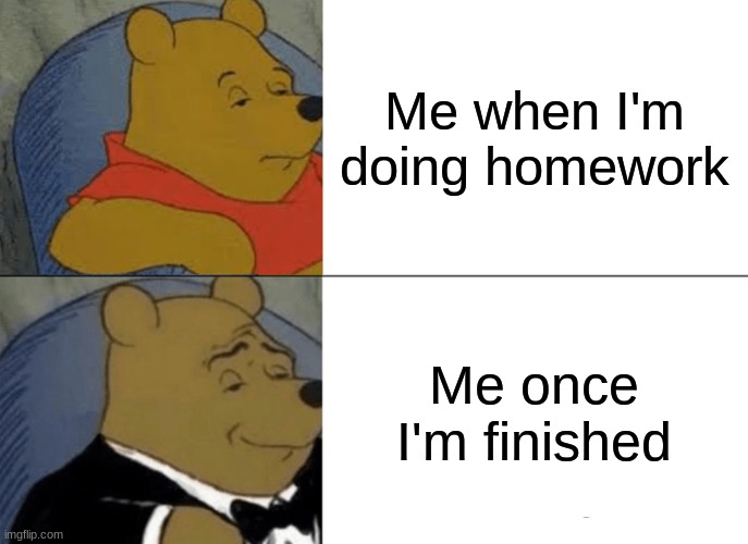 Homework | Me when I'm doing homework; Me once I'm finished | image tagged in memes,tuxedo winnie the pooh | made w/ Imgflip meme maker
