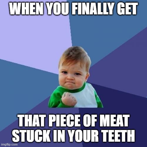 Success Kid Meme | WHEN YOU FINALLY GET; THAT PIECE OF MEAT STUCK IN YOUR TEETH | image tagged in memes,success kid | made w/ Imgflip meme maker