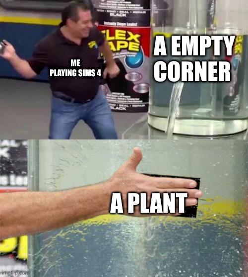 Flex Tape | A EMPTY CORNER; ME PLAYING SIMS 4; A PLANT | image tagged in flex tape | made w/ Imgflip meme maker