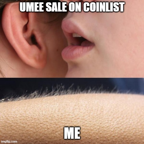 Umee sale on coinlist | UMEE SALE ON COINLIST; ME | image tagged in whisper and goosebumps | made w/ Imgflip meme maker