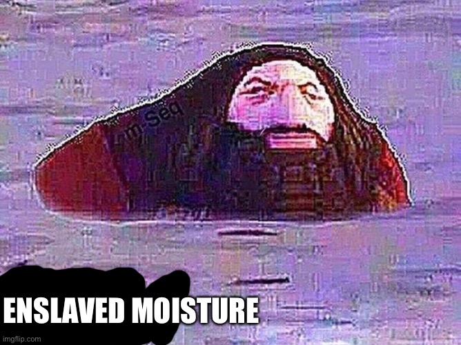 PS1 Hagrid "Water" Meme | ENSLAVED MOISTURE | image tagged in ps1 hagrid water meme | made w/ Imgflip meme maker