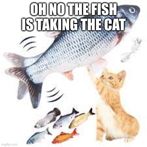 wait the fish is taking the cat?! | OH NO THE FISH IS TAKING THE CAT | image tagged in cats,funny,memes | made w/ Imgflip meme maker