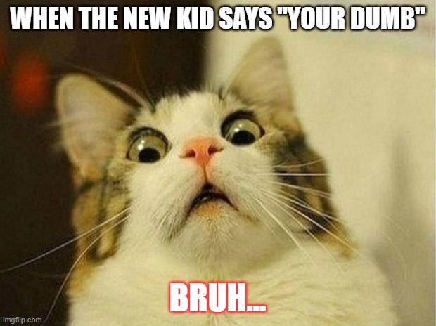 poor cat... | WHEN THE NEW KID SAYS "YOUR DUMB"; BRUH... | image tagged in memes,scared cat | made w/ Imgflip meme maker