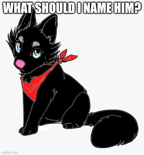  WHAT SHOULD I NAME HIM? | image tagged in furry | made w/ Imgflip meme maker