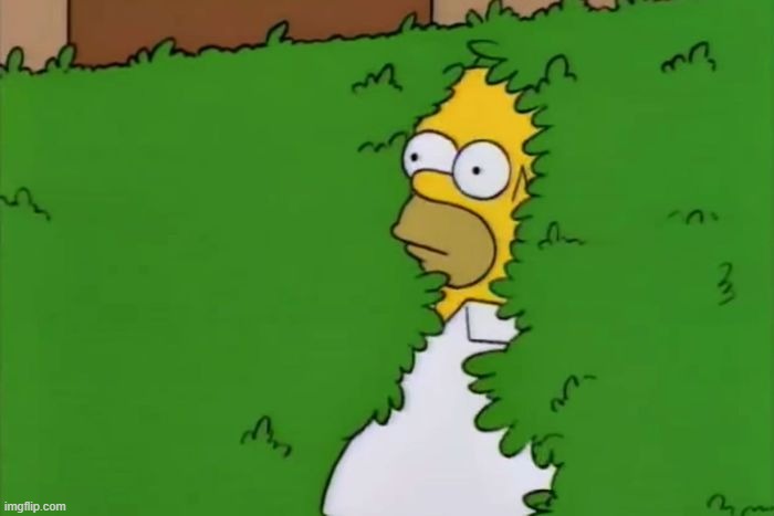 homer disappears into bush | image tagged in homer disappears into bush | made w/ Imgflip meme maker