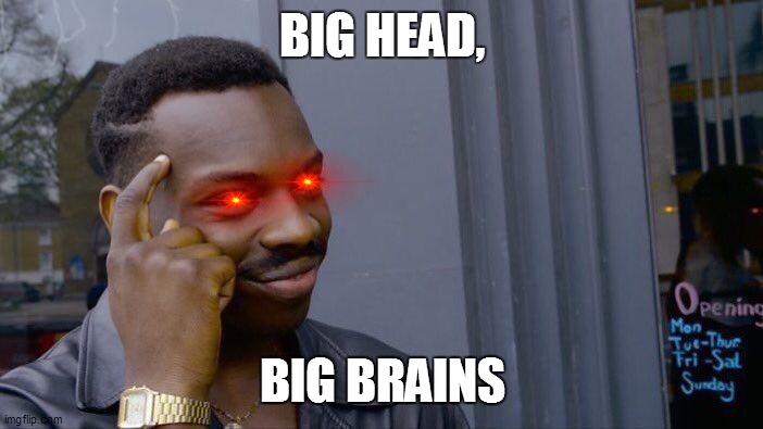 bjb | BIG HEAD, BIG BRAINS | image tagged in memes,roll safe think about it | made w/ Imgflip meme maker