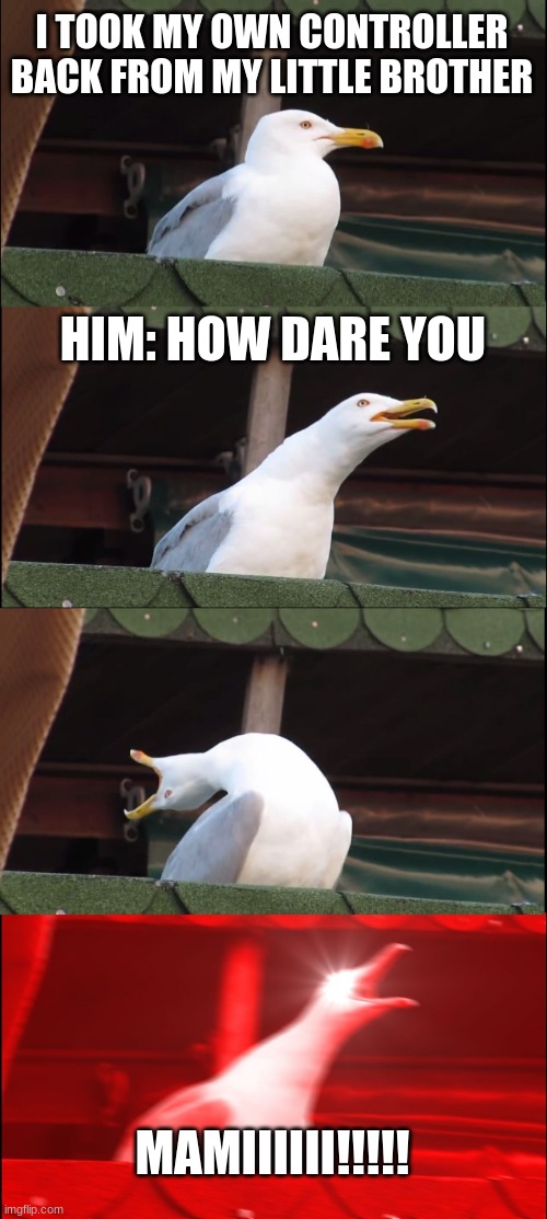 Inhaling Seagull | I TOOK MY OWN CONTROLLER BACK FROM MY LITTLE BROTHER; HIM: HOW DARE YOU; MAMIIIIII!!!!! | image tagged in memes,inhaling seagull | made w/ Imgflip meme maker