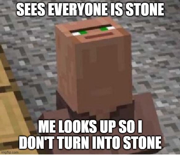 villager | SEES EVERYONE IS STONE; ME LOOKS UP SO I DON'T TURN INTO STONE | image tagged in minecraft villager looking up | made w/ Imgflip meme maker
