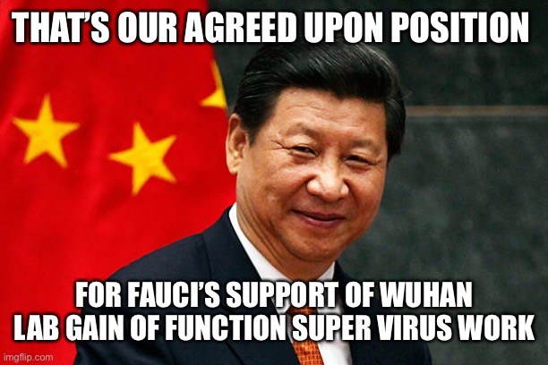 Xi Jinping | THAT’S OUR AGREED UPON POSITION FOR FAUCI’S SUPPORT OF WUHAN LAB GAIN OF FUNCTION SUPER VIRUS WORK | image tagged in xi jinping | made w/ Imgflip meme maker