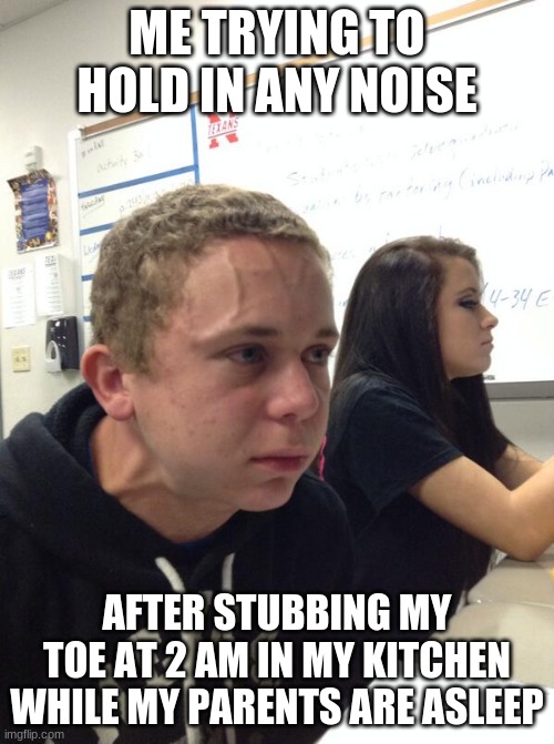 Hold fart | ME TRYING TO HOLD IN ANY NOISE; AFTER STUBBING MY TOE AT 2 AM IN MY KITCHEN WHILE MY PARENTS ARE ASLEEP | image tagged in hold fart | made w/ Imgflip meme maker
