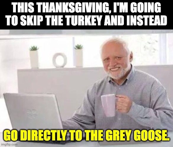 Thanksgiving | THIS THANKSGIVING, I'M GOING TO SKIP THE TURKEY AND INSTEAD; GO DIRECTLY TO THE GREY GOOSE. | image tagged in harold | made w/ Imgflip meme maker