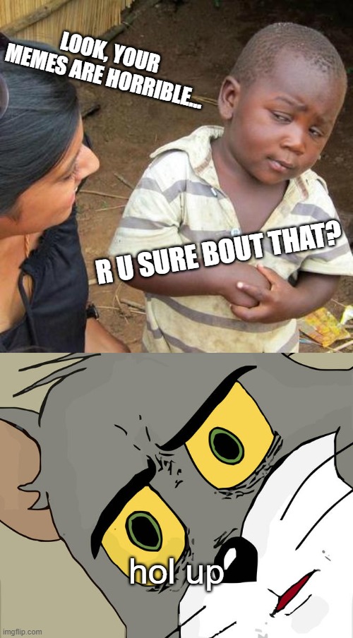 hmm... | LOOK, YOUR MEMES ARE HORRIBLE... R U SURE BOUT THAT? hol up | image tagged in memes,third world skeptical kid,unsettled tom | made w/ Imgflip meme maker