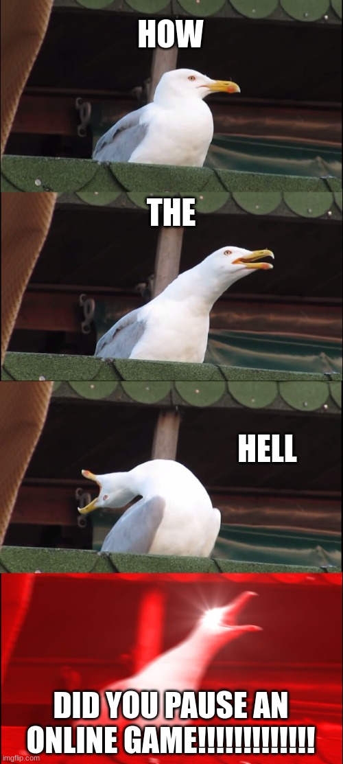 Inhaling Seagull | HOW; THE; HELL; DID YOU PAUSE AN ONLINE GAME!!!!!!!!!!!!! | image tagged in memes,inhaling seagull | made w/ Imgflip meme maker