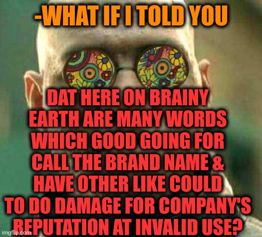 -Good story. |  DAT HERE ON BRAINY EARTH ARE MANY WORDS WHICH GOOD GOING FOR CALL THE BRAND NAME & HAVE OTHER LIKE COULD TO DO DAMAGE FOR COMPANY'S REPUTATION AT INVALID USE? -WHAT IF I TOLD YOU | image tagged in acid kicks in morpheus,play on words,company,reputation,brandon rogers,what if i told you | made w/ Imgflip meme maker