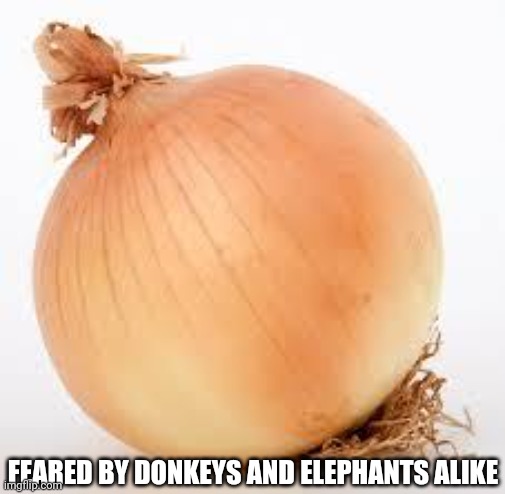 Become Ungovernable | FEARED BY DONKEYS AND ELEPHANTS ALIKE | image tagged in onion | made w/ Imgflip meme maker