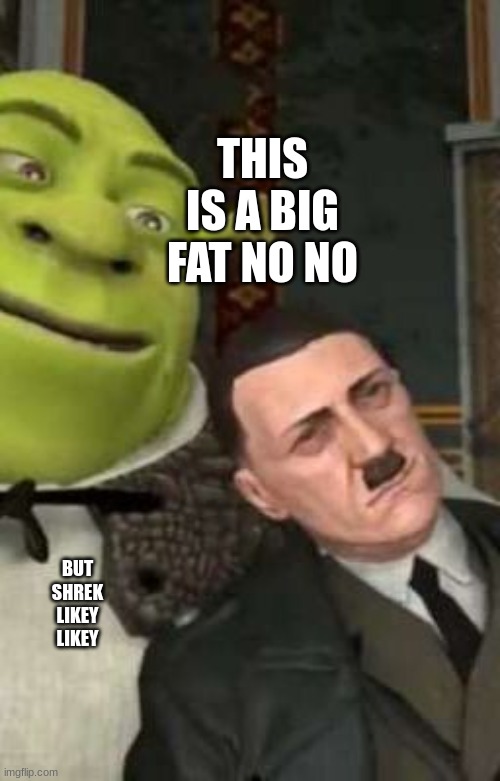 big fat NOPE | THIS IS A BIG FAT NO NO; BUT SHREK LIKEY LIKEY | image tagged in memes,shrek,adolf hitler | made w/ Imgflip meme maker