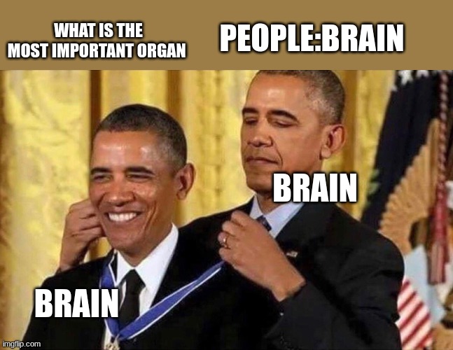 IM BACK | WHAT IS THE MOST IMPORTANT ORGAN; PEOPLE:BRAIN; BRAIN; BRAIN | image tagged in obama medal | made w/ Imgflip meme maker