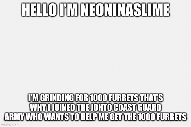 I like johto and hoenn at the same time | HELLO I’M NEONINASLIME; I’M GRINDING FOR 1000 FURRETS THAT’S WHY I JOINED THE JOHTO COAST GUARD ARMY WHO WANTS TO HELP ME GET THE 1000 FURRETS | image tagged in pokemon | made w/ Imgflip meme maker