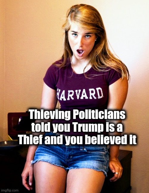 What the Fuque ? | Thieving Politicians told you Trump is a Thief and you believed it | image tagged in what the fuque | made w/ Imgflip meme maker