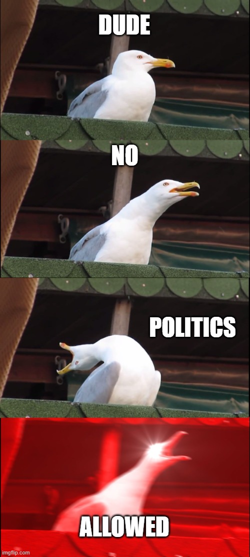 Inhaling Seagull Meme | DUDE NO POLITICS ALLOWED | image tagged in memes,inhaling seagull | made w/ Imgflip meme maker