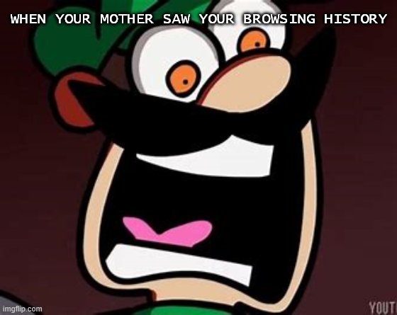 Luigi scream | WHEN YOUR MOTHER SAW YOUR BROWSING HISTORY | image tagged in luigi scream | made w/ Imgflip meme maker