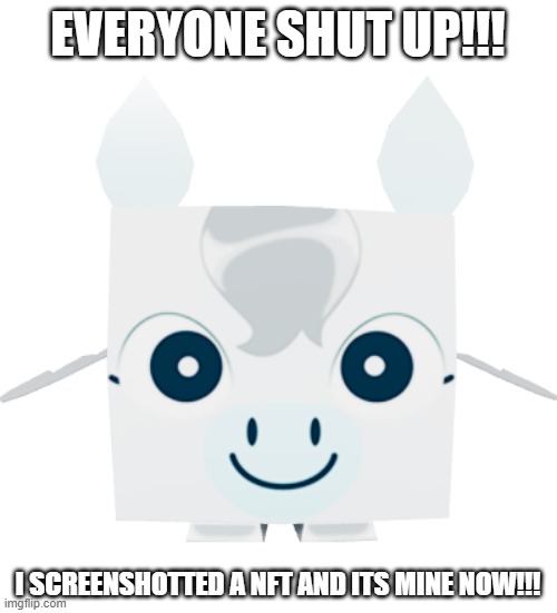 no way, Pink3loving screenshotted a NFT... | EVERYONE SHUT UP!!! I SCREENSHOTTED A NFT AND ITS MINE NOW!!! | made w/ Imgflip meme maker