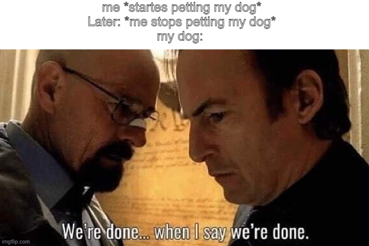 This happens all the time | me *startes petting my dog*

Later: *me stops petting my dog*

my dog: | image tagged in we're done when i say we're done | made w/ Imgflip meme maker