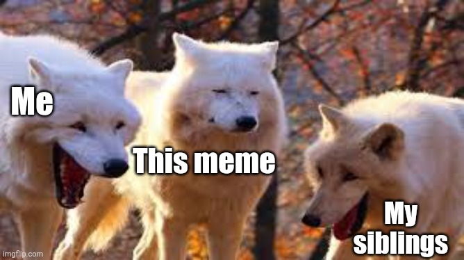 Laughing Wolves | This meme Me My siblings | image tagged in laughing wolves | made w/ Imgflip meme maker