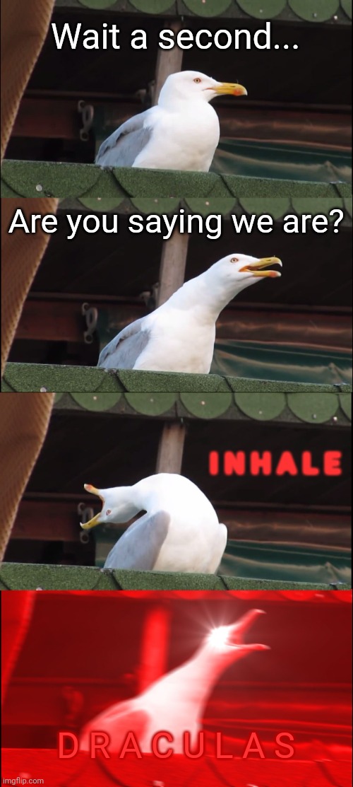Inhaling Seagull Meme | Wait a second... Are you saying we are? I N H A L E D R A C U L A S | image tagged in memes,inhaling seagull | made w/ Imgflip meme maker