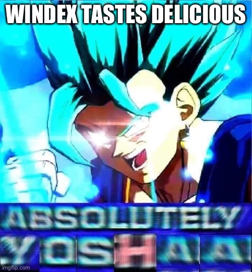 absolutely yoshaa | WINDEX TASTES DELICIOUS | image tagged in absolutely yoshaa | made w/ Imgflip meme maker