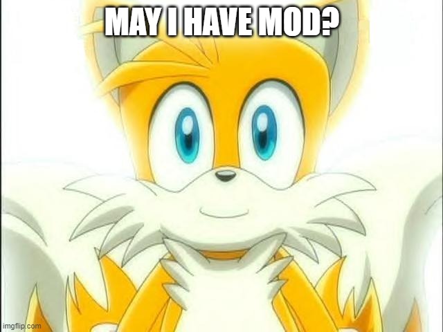 its ok if you answer no. Just asking because its been a while since I got it taken away | MAY I HAVE MOD? | image tagged in tails | made w/ Imgflip meme maker