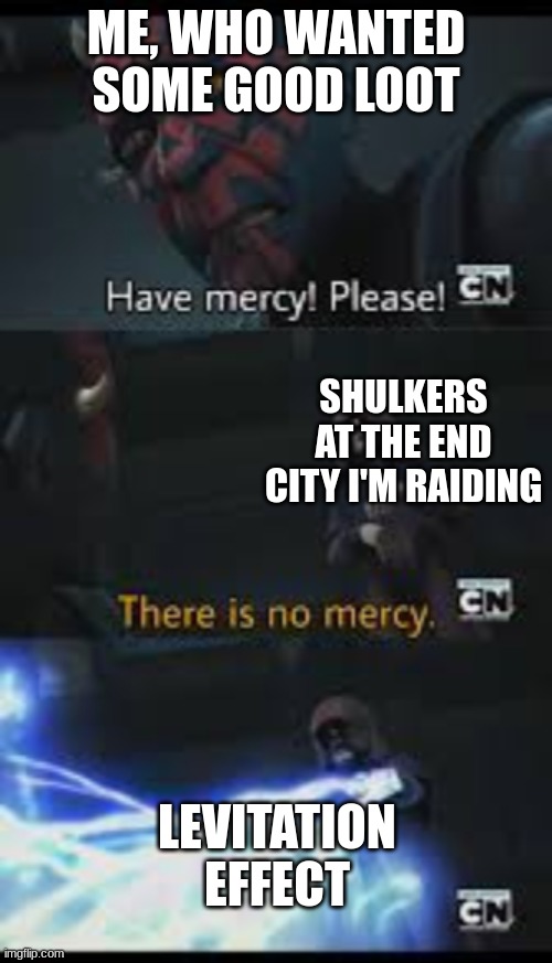 Have mercy please | ME, WHO WANTED SOME GOOD LOOT; SHULKERS AT THE END CITY I'M RAIDING; LEVITATION EFFECT | image tagged in have mercy please | made w/ Imgflip meme maker