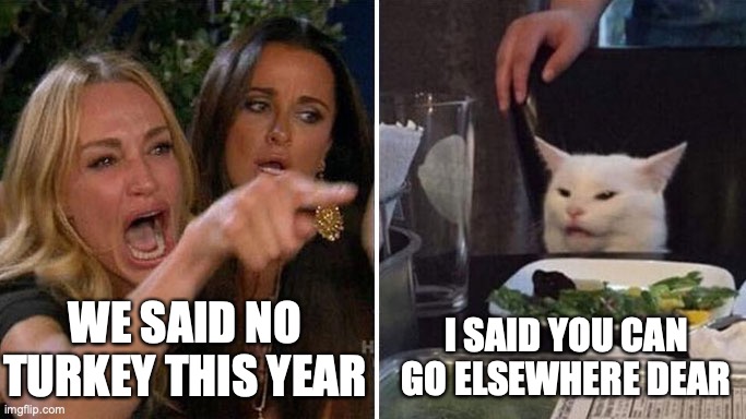 Angry lady cat | WE SAID NO TURKEY THIS YEAR; I SAID YOU CAN GO ELSEWHERE DEAR | image tagged in angry lady cat | made w/ Imgflip meme maker