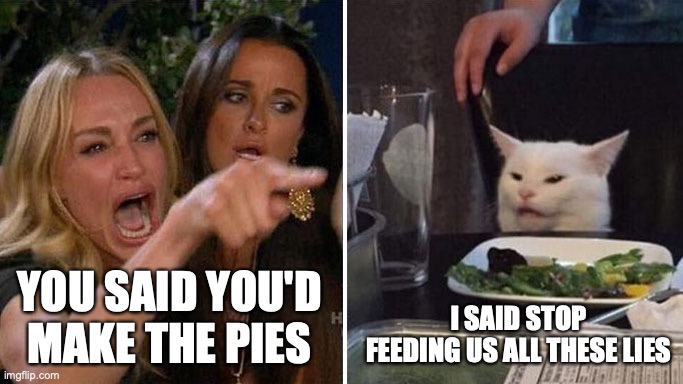 Angry lady cat | YOU SAID YOU'D MAKE THE PIES; I SAID STOP FEEDING US ALL THESE LIES | image tagged in angry lady cat | made w/ Imgflip meme maker