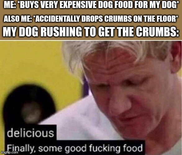 doggo | ME: *BUYS VERY EXPENSIVE DOG FOOD FOR MY DOG*; ALSO ME: *ACCIDENTALLY DROPS CRUMBS ON THE FLOOR*; MY DOG RUSHING TO GET THE CRUMBS: | image tagged in finally some good food,dog,crumbs,food,expensive | made w/ Imgflip meme maker