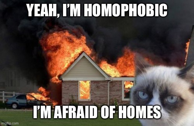 Burn Kitty Meme | YEAH, I’M HOMOPHOBIC; I’M AFRAID OF HOMES | image tagged in memes,burn kitty,grumpy cat | made w/ Imgflip meme maker