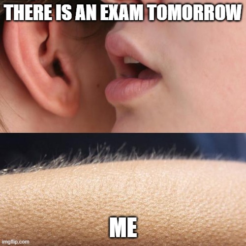 Whisper and Goosebumps | THERE IS AN EXAM TOMORROW; ME | image tagged in whisper and goosebumps | made w/ Imgflip meme maker