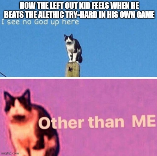 It feels like nothing else | HOW THE LEFT OUT KID FEELS WHEN HE BEATS THE ALETHIC TRY-HARD IN HIS OWN GAME | image tagged in hail pole cat | made w/ Imgflip meme maker
