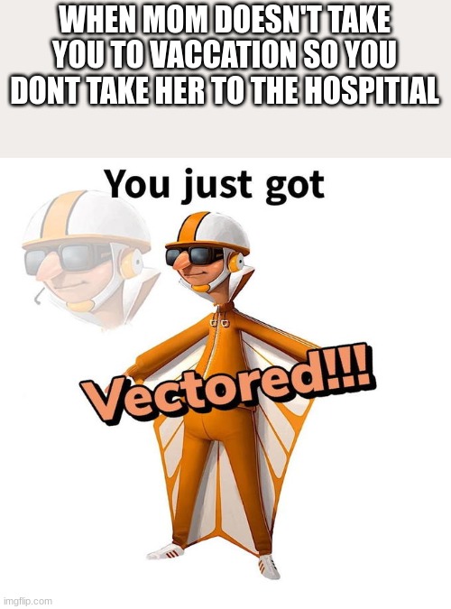 You just got Vectored | WHEN MOM DOESN'T TAKE YOU TO VACCATION SO YOU DONT TAKE HER TO THE HOSPITIAL | image tagged in you just got vectored | made w/ Imgflip meme maker