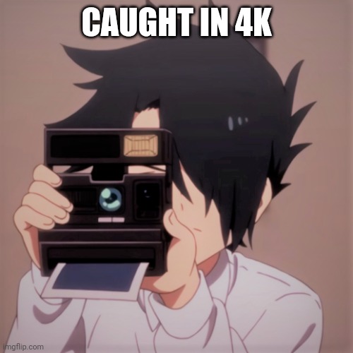Caught in 4k | CAUGHT IN 4K | image tagged in caught in 4k | made w/ Imgflip meme maker