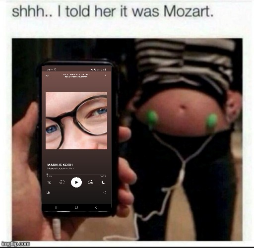 I told her it was Mozart | image tagged in i told her it was mozart | made w/ Imgflip meme maker