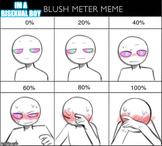 I don't really have opportunities to blush, so this'll be fun | IM A BISEXUAL BOY | image tagged in blush meter meme | made w/ Imgflip meme maker